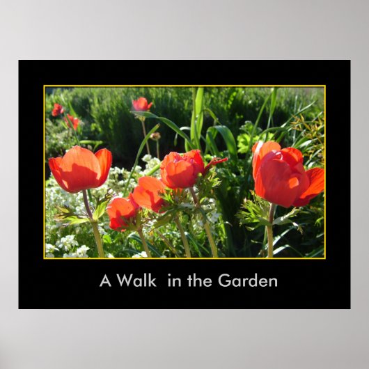 Ein Spaziergang im Garten Poster (Vorne)