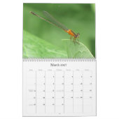 Ein Spaziergang im Garten Vaters Kalender (Mär 2027)