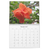 Ein Spaziergang im Garten Vaters Kalender (Jan 2027)