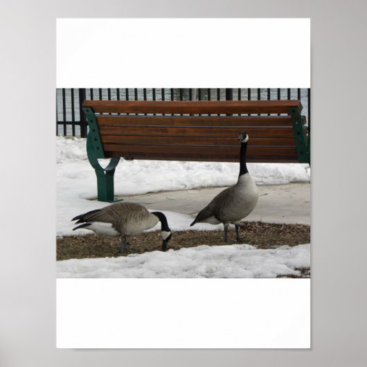 Ein Spaziergang im Park Poster (Vorne)
