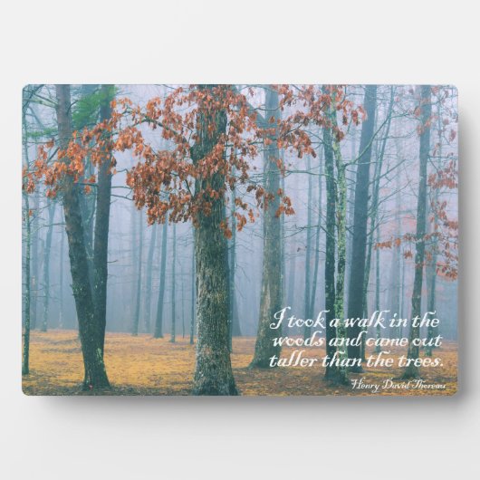 Ein Spaziergang im Wald Fotoplatte (Vorderseite)