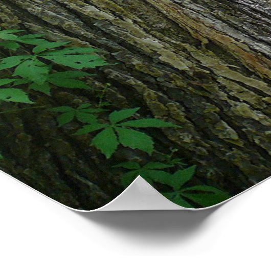 Ein Spaziergang im Wald Poster (Ecke)