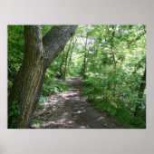 Ein Spaziergang im Wald Poster (Vorne)
