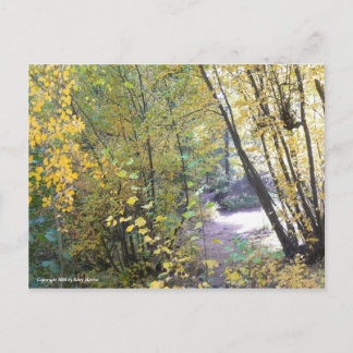 Ein Spaziergang im Wald Postkarte