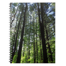 Ein Spaziergang im Woods Journal