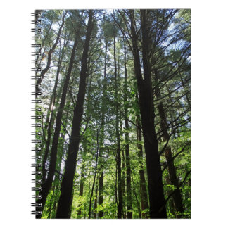 Ein Spaziergang im Woods Journal Notizblock