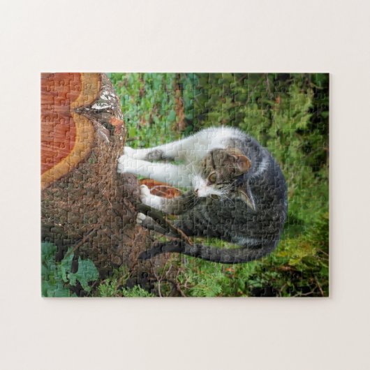 Ein Spaziergang - Kitty Puzzle (Horizontal)