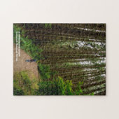 Ein Spaziergang unter den Giganten - Redwood Natio Puzzle (Horizontal)