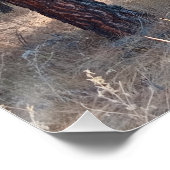 Ein Spaziergang zwischen den Bäumen Glossy Poster (Ecke)