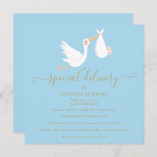 Ein spezielles Lieferschiff Baby Sprinkle / Dusche Einladung (Vorne/Hinten)