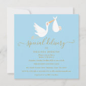 Ein spezielles Lieferschiff Baby Sprinkle / Dusche Einladung (Vorderseite)