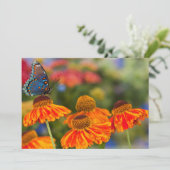 Ein Spicebush-Frack, Papilio troilo Dankeskarte (Stehend Vorderseite)