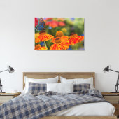Ein Spicebush-Frack, Papilio troilo Leinwanddruck (Insitu (Schlafzimmer))