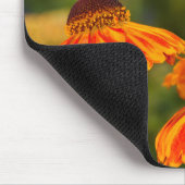 Ein Spicebush-Frack, Papilio troilo Mousepad (Ecke)