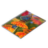 Ein Spicebush-Frack, Papilio troilo Notizblock (Linke Seite)