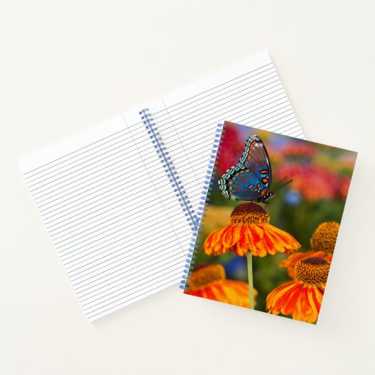 Ein Spicebush-Frack, Papilio troilo Notizblock (Innenseite)