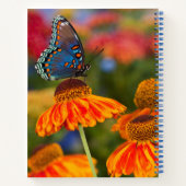 Ein Spicebush-Frack, Papilio troilo Notizblock (Rückseite)