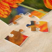 Ein Spicebush-Frack, Papilio troilo Puzzle (Seite)