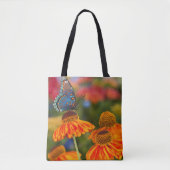 Ein Spicebush-Frack, Papilio troilo Tasche (Vorderseite)