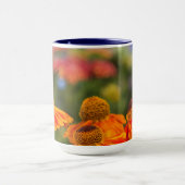 Ein Spicebush-Frack, Papilio troilo Tasse (Zentrum)