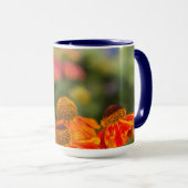 Ein Spicebush-Frack, Papilio troilo Tasse (VorderseiteRechts)