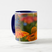 Ein Spicebush-Frack, Papilio troilo Tasse (Vorderseite Links)