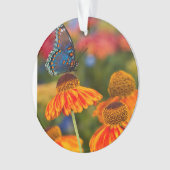 Ein Spicebush Frack, Papilio troilus Ornament (Vorderseite)