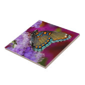 Ein Spicebush-Frack-Schmetterling Fliese (Seite)