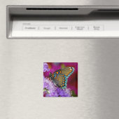 Ein Spicebush-Frack-Schmetterling Magnet (In Situ (Geschirrspüler))
