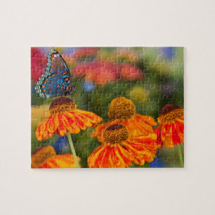 Ein Spicebush Swallowtail, Papilio troilus Puzzle