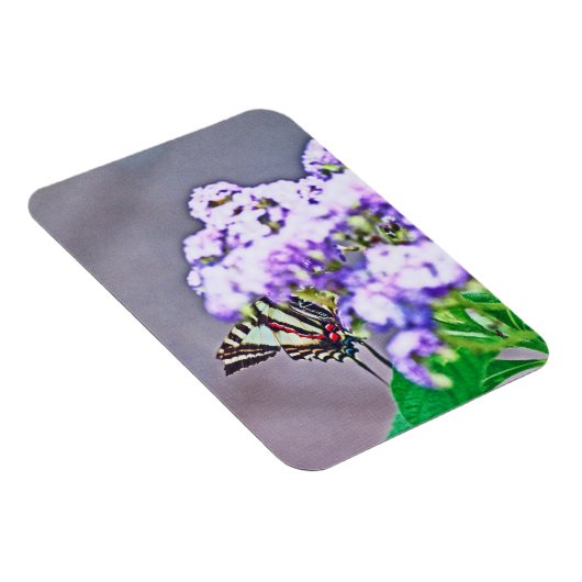 Ein Spiel der Verborgenen und Suche Magnet (Rechte Seite)