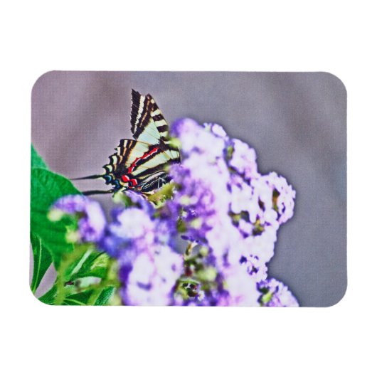 Ein Spiel der Verborgenen und Suche Magnet (Horizontal)