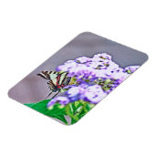 Ein Spiel der Verborgenen und Suche Magnet (Linke Seite)