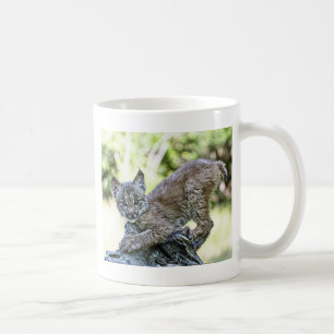 Ein spielerisches kanadisches Luchs-Kätzchen Kaffeetasse