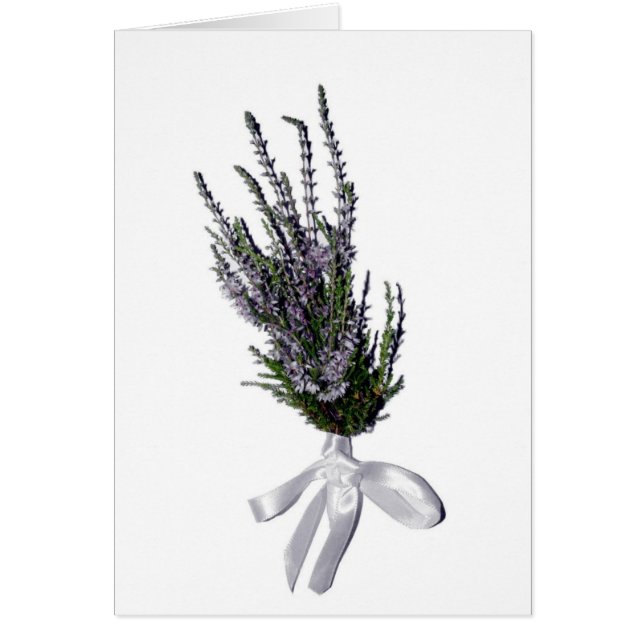 Ein Sprig Heather aus Schottland (Vorne)