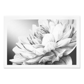 Ein Sprung vom Frühling (mit Grenze) Fotodruck