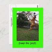 Ein Sprung zur Freude! Postkarte (Vorne/Hinten)