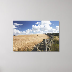 Ein Stacheldraht-Zaun errichtet entlang einem Leinwanddruck