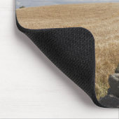 Ein Stacheldraht-Zaun errichtet entlang einem Mousepad (Ecke)