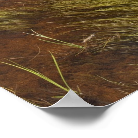 Ein Standteich, der die Wolken reflektiert Poster (Ecke)