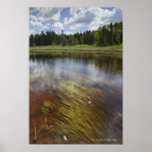 Ein Standteich, der die Wolken reflektiert Poster (Vorne)