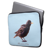 Ein Star Laptopschutzhülle (Vorderseite Links)