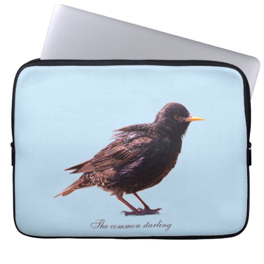 Ein Star Laptopschutzhülle (Vorderseite)