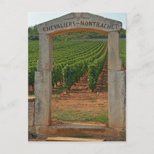 Ein steinernes Portal zum Weinberg Postkarte