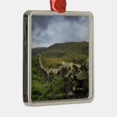 Ein Steinzaun durch Felder Silbernes Ornament (Rechts)