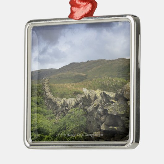 Ein Steinzaun durch Felder Silbernes Ornament (Links)