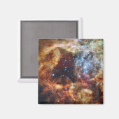 Ein stellares Kinderzimmer, bekannt als R136 Magnet (Vorderseite/Rückseite)