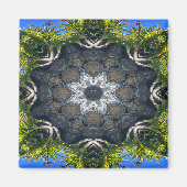 Ein Stern im Teich...... Magnet (Vorne)