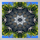 Ein Stern im Teich...... Poster (Vorne)