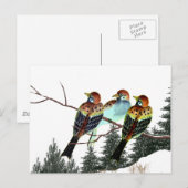 Ein Stern ist Geboren Postkarte (Vorne/Hinten)